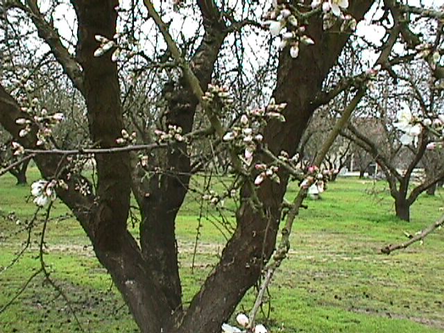 Mvc17f.jpg (97619 bytes)